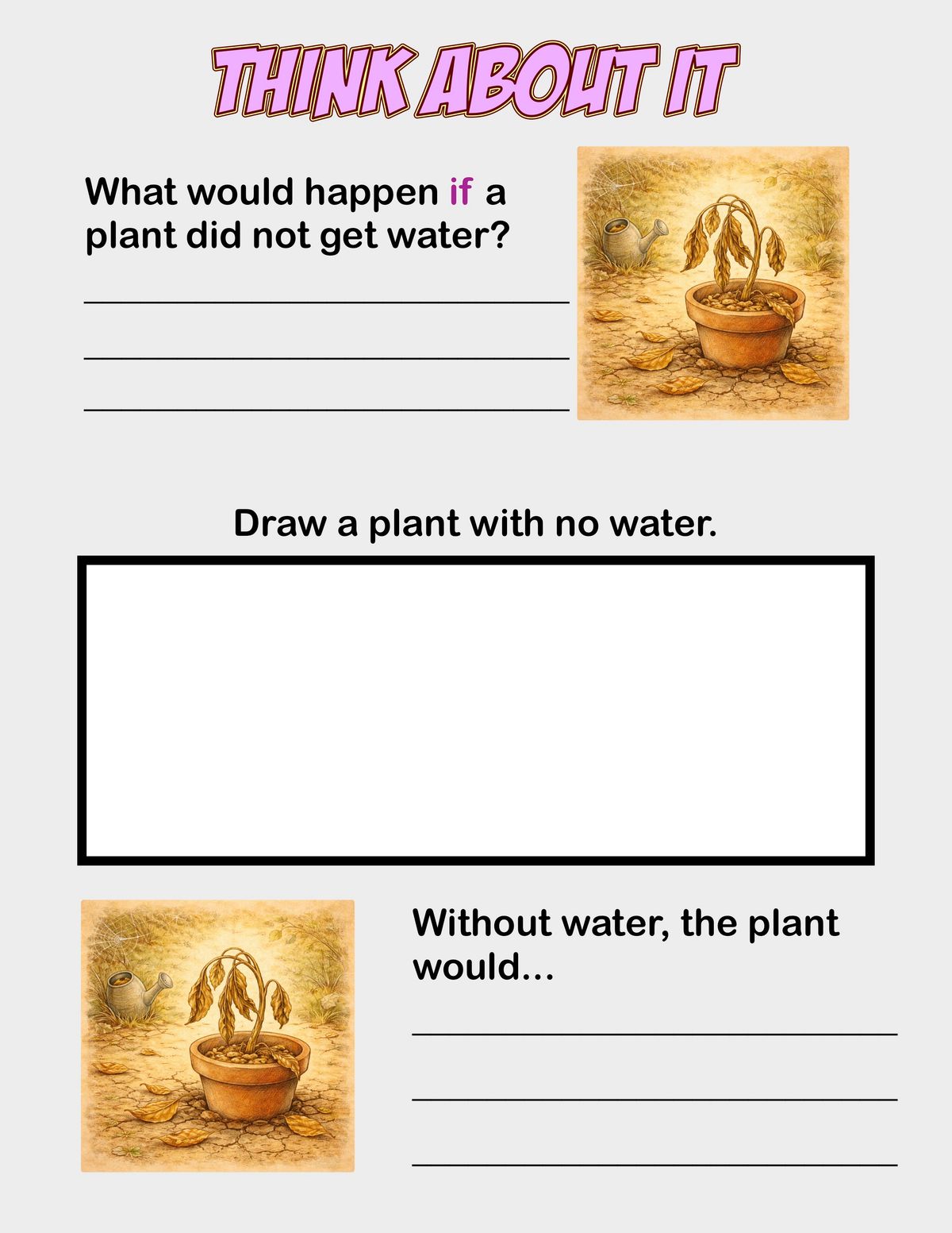 Biological Science - Year 1 - AC9S1U01 panel 3