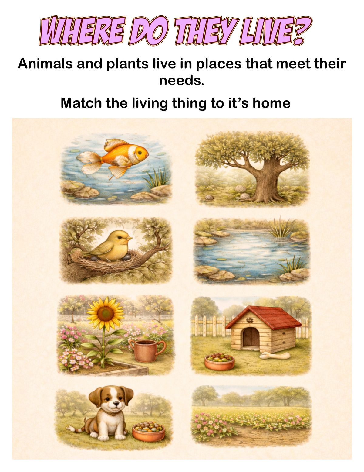 Biological Science - Year 1 - AC9S1U01 panel 5