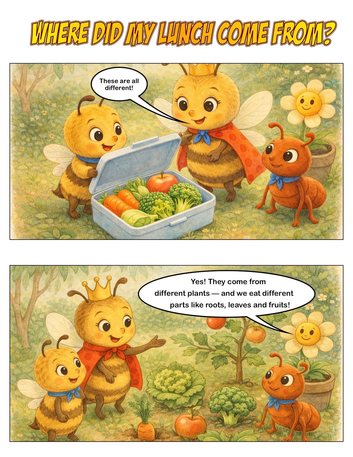 Where did my lunch come from? Elaboration 1 for AC9SFU01 panel 1