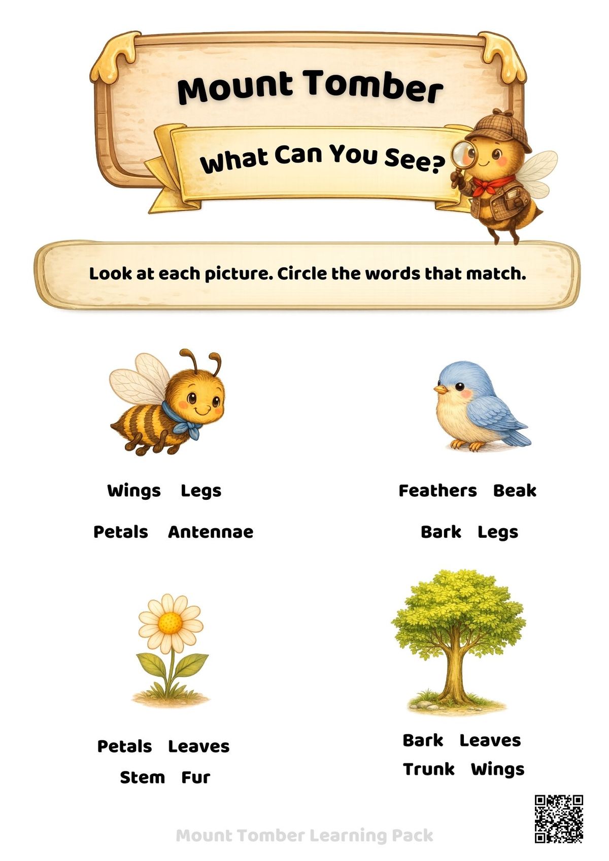 Biological Science - Prep - AC9SFU01 panel 3